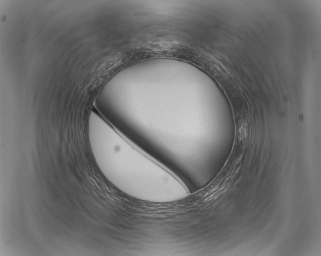 X0000067941156200604131124