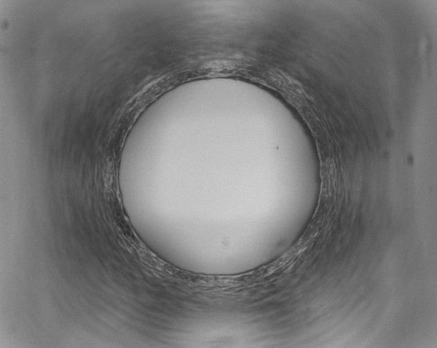 X0000067941158200604131124