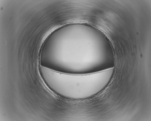 X0000067941187200604131124