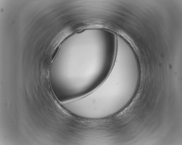 X0000067941193200604131124