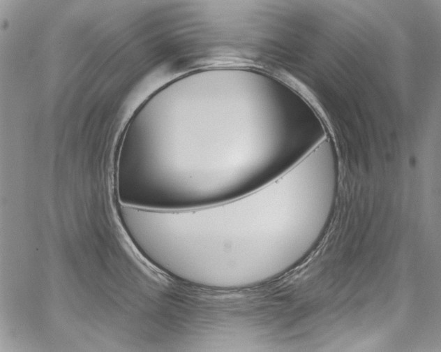 X0000067941195200604131124