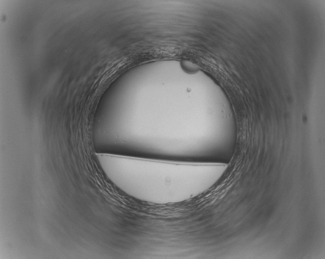 X0000067941201200604131123