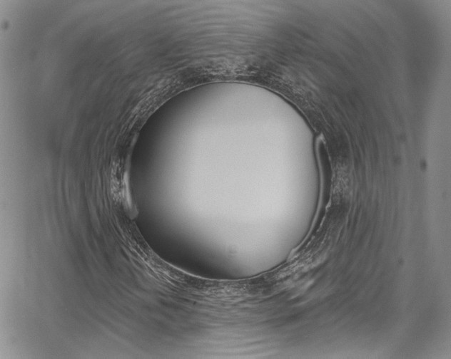X0000067941202200604131123
