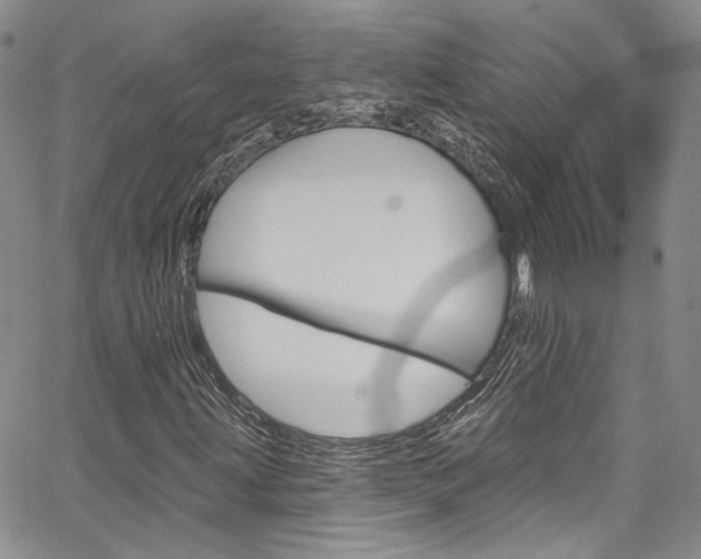 X0000067941203200604131123