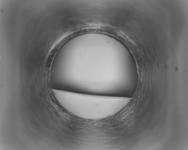 X0000067941208200604131123