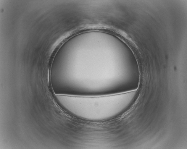 X0000067941221200604131123