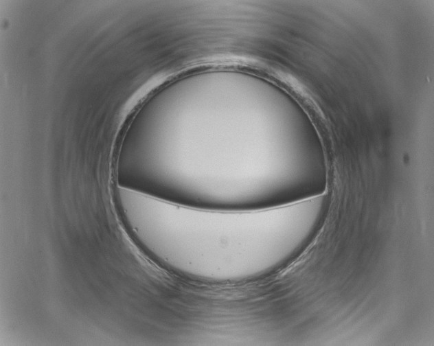 X0000067941229200604131123