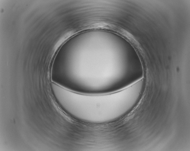 X0000067941234200604131123