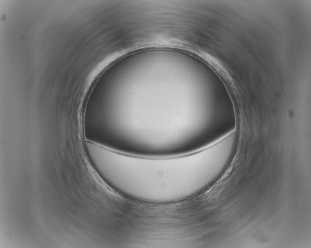 X0000067941238200604131123