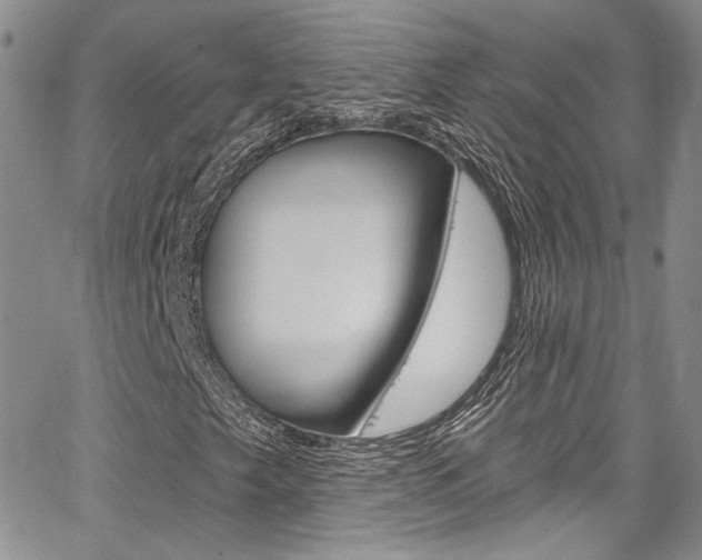 X0000067941249200604131123