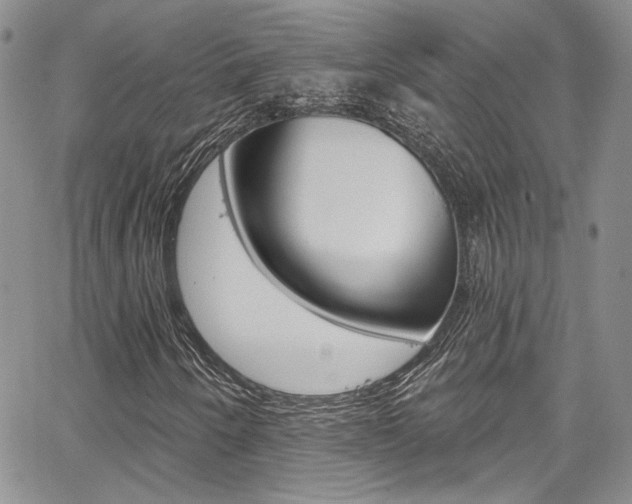 X0000067941250200604131123