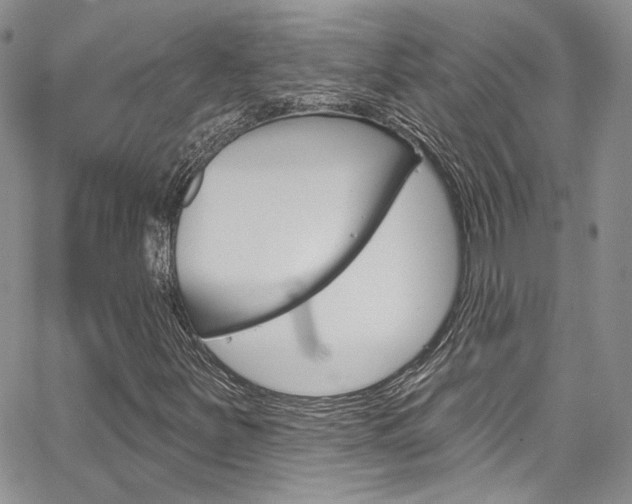 X0000067941251200604131123