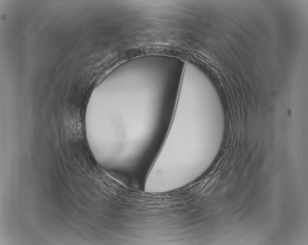 X0000067941252200604131123
