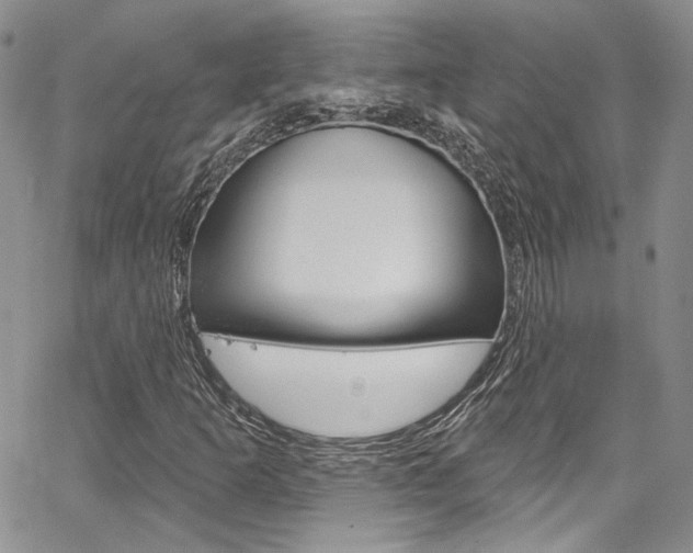 X0000067941253200604131123