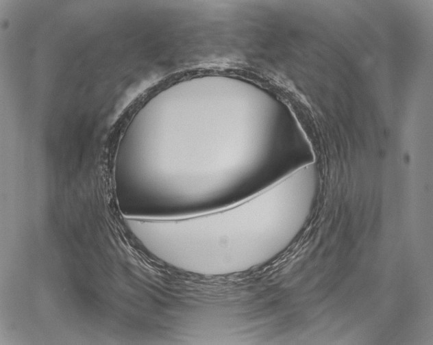 X0000067941256200604131123