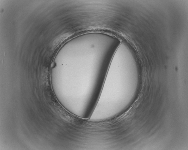 X0000067941265200604131122