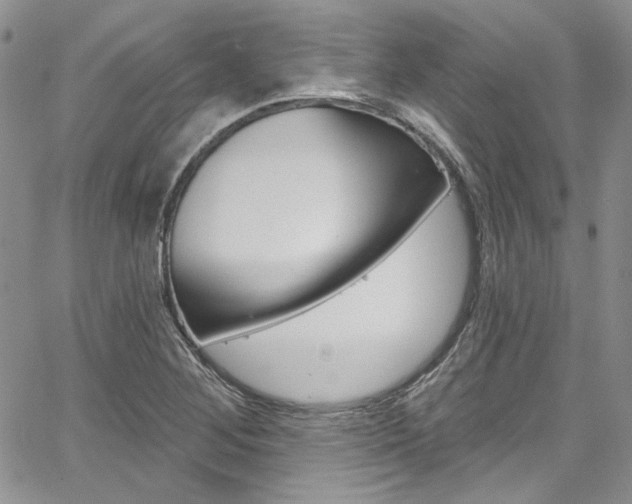 X0000067941268200604131122