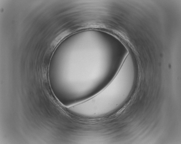 X0000067941273200604131122