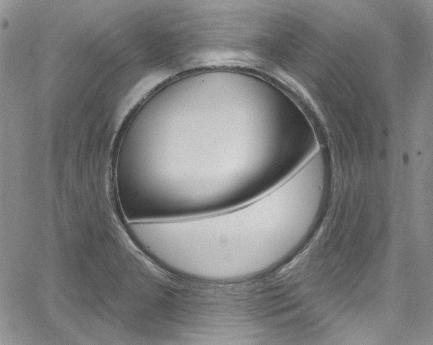 X0000067941277200604131122