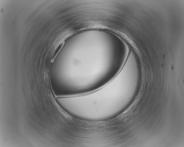X0000067941281200604131122