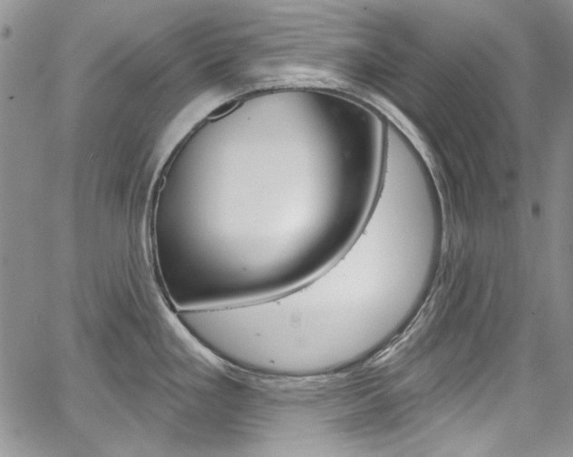 X0000067941293200604131122