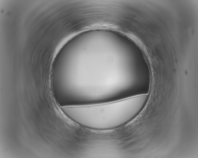 X0000067941296200604131122