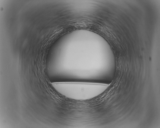 X0000067941297200604131121