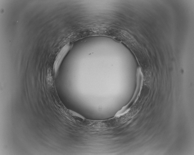 X0000067941298200604131121