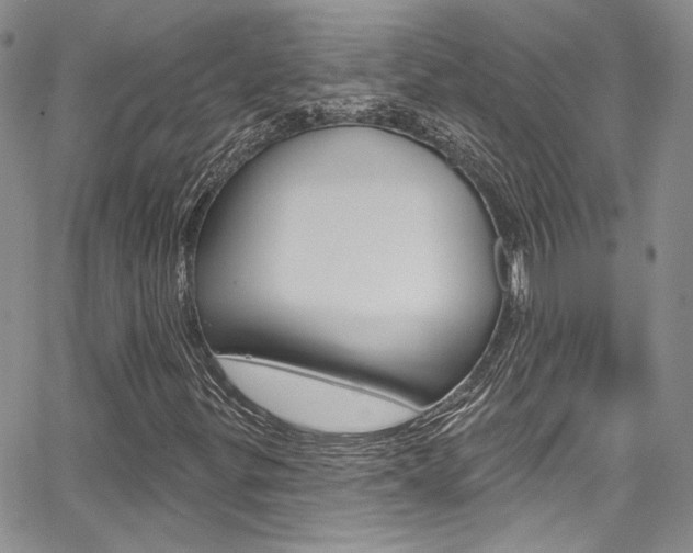 X0000067941299200604131121