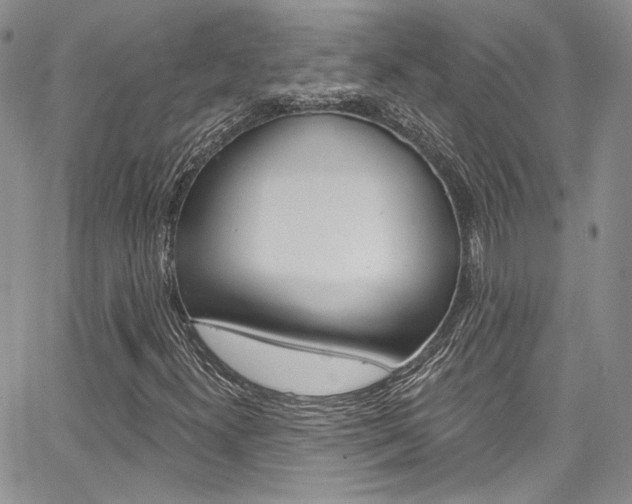 X0000067941300200604131121