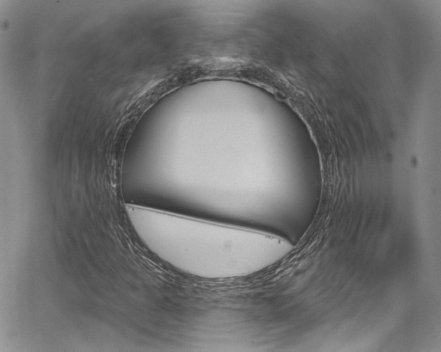 X0000067941301200604131121