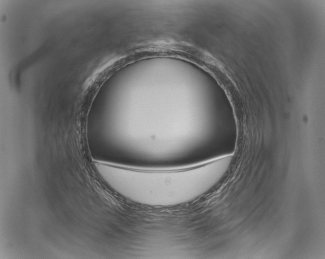 X0000067941304200604131121