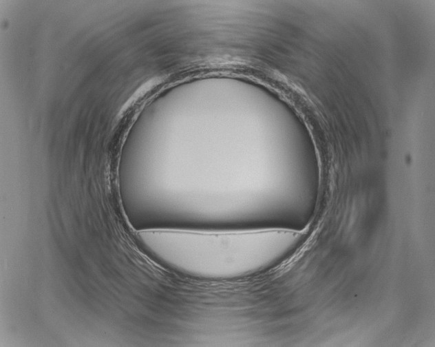 X0000067941306200604131121