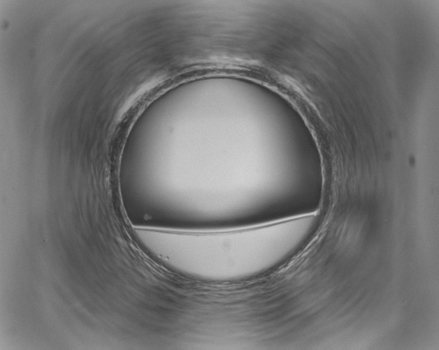 X0000067941307200604131121