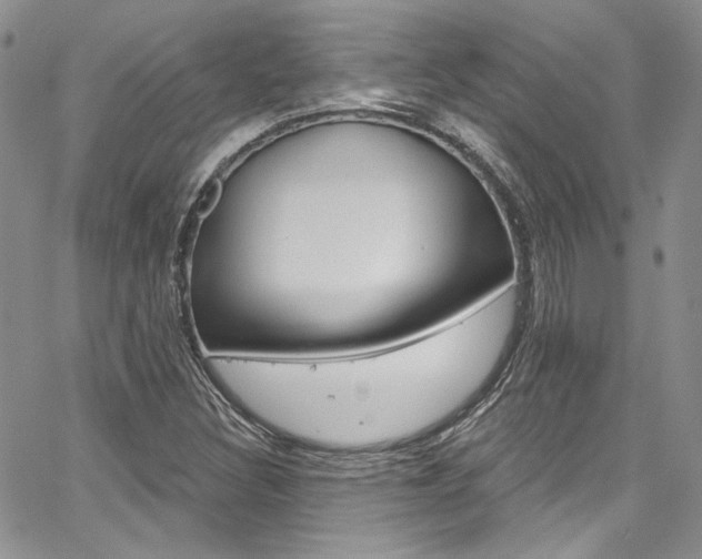 X0000067941308200604131121