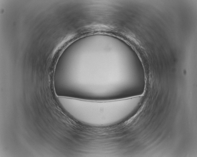 X0000067941309200604131121