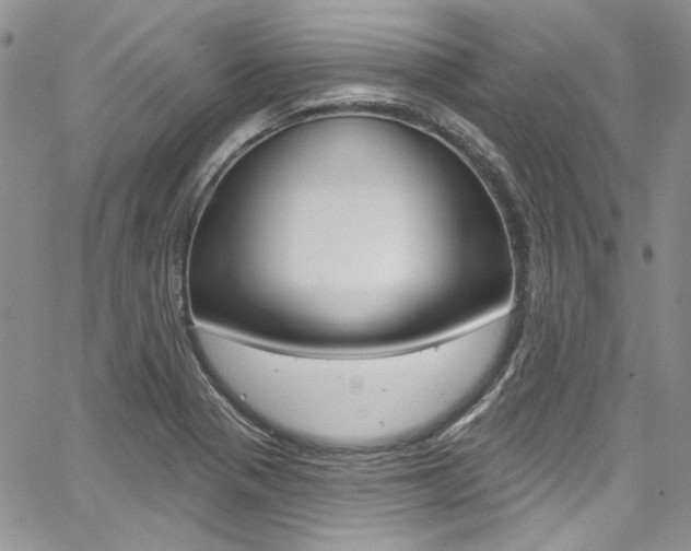 X0000067941321200604131121