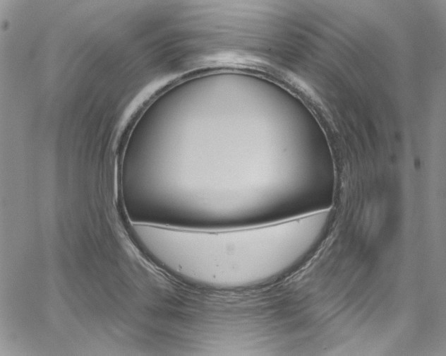 X0000067941323200604131122
