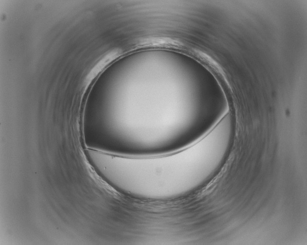 X0000067941330200604131122