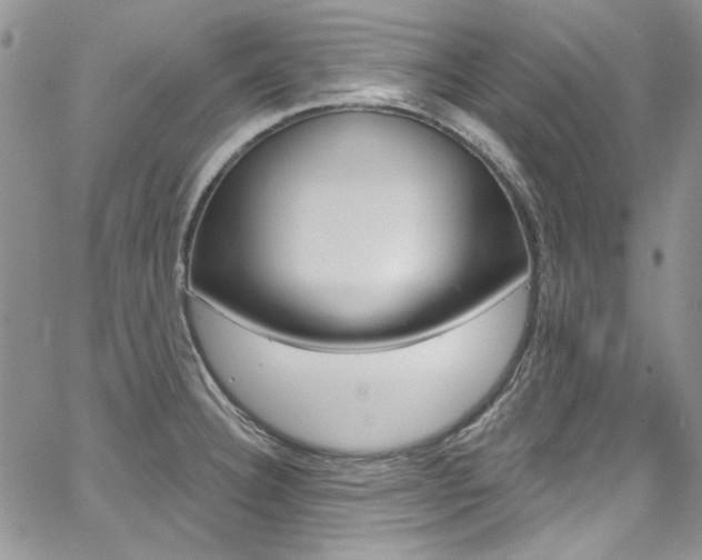 X0000067941332200604131122