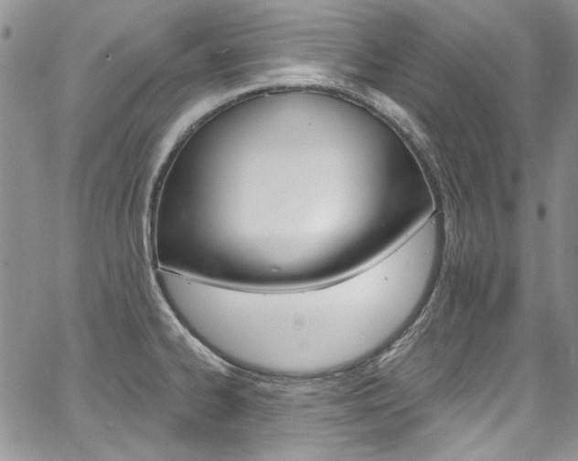 X0000067941334200604131122
