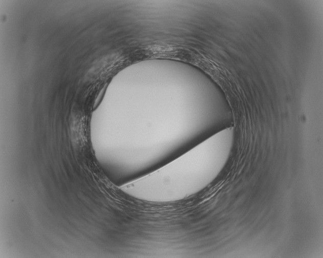 X0000067941346200604131121