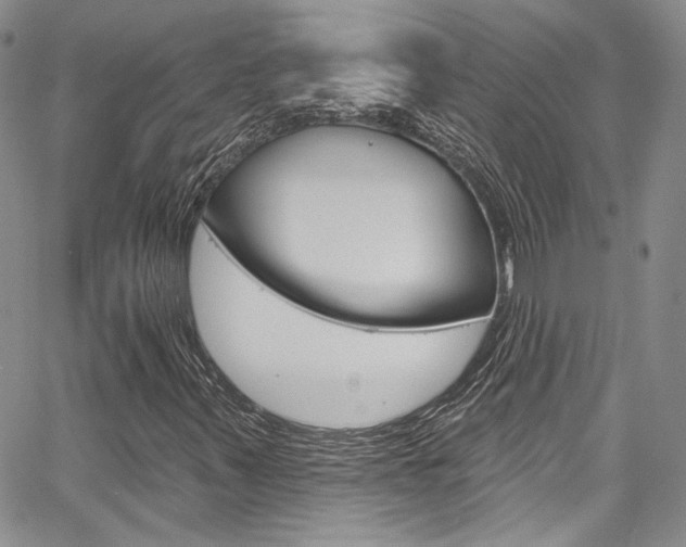 X0000067941347200604131121