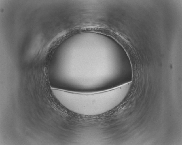 X0000067941351200604131121