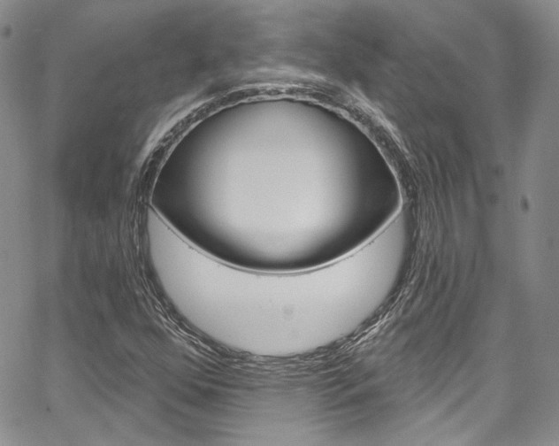 X0000067941352200604131121