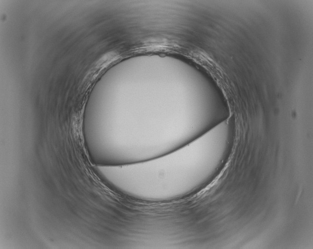 X0000067941353200604131121