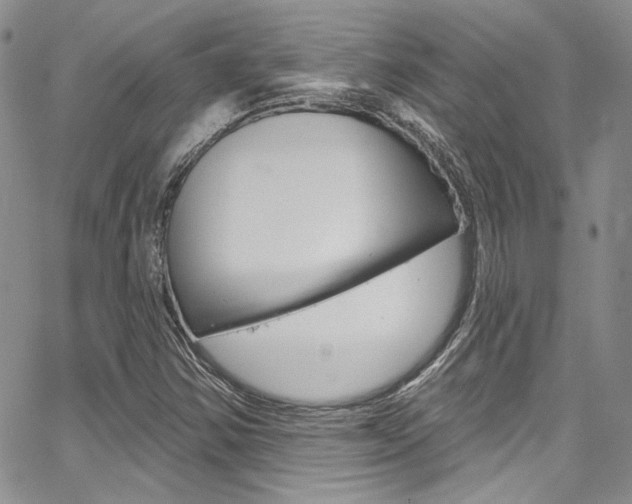 X0000067941354200604131121