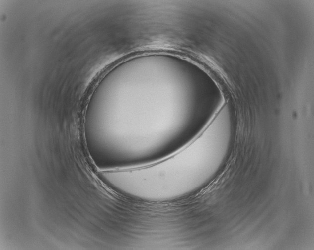 X0000067941356200604131121