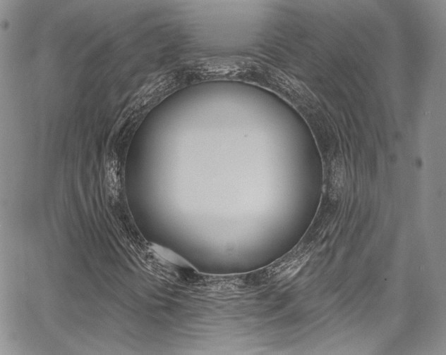 X0000067941394200604131120