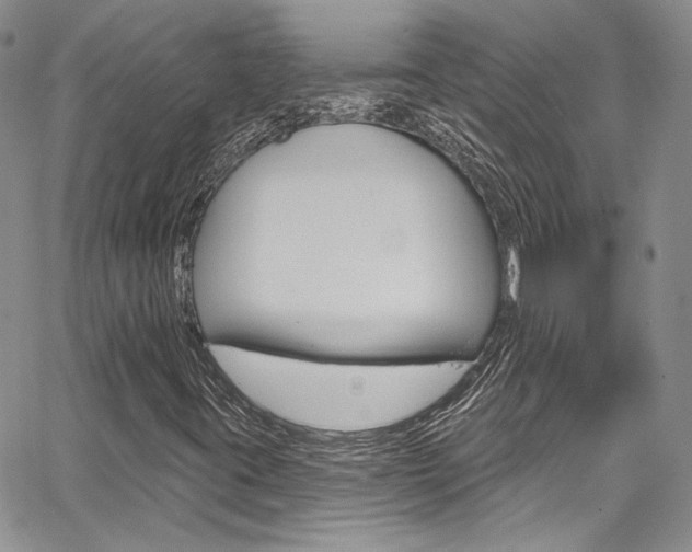 X0000067941395200604131120